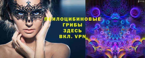 трава Абинск