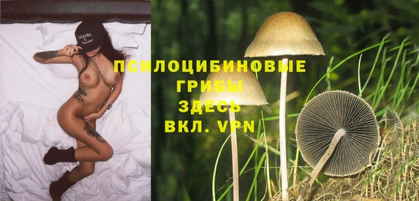 трава Абинск