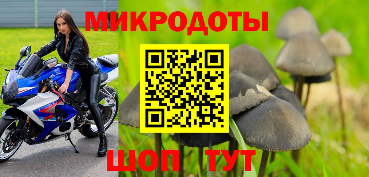 Галлюциногенные грибы Psilocybe Шебекино