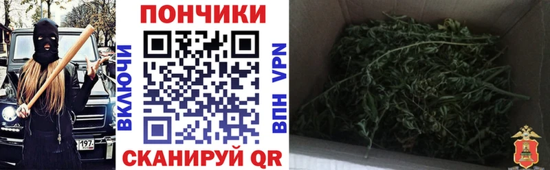 даркнет состав  Шебекино  Бошки марихуана White Widow 